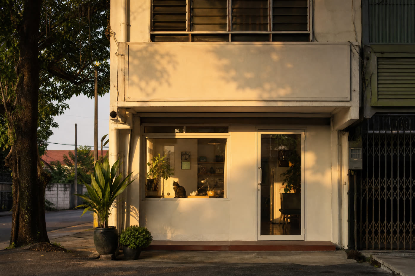 The shopfront at golden hour